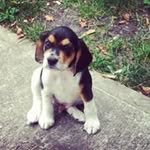 Bruce Rathbone - @brucerathbone - Instagram