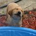 Bruce Rawls - Facebook
