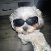 Bruce - @bruceredmand - TikTok