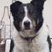 Bruce Redman - Facebook