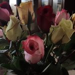 Sheri Crowder Bruce Redman - @redman5232 - Instagram