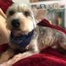 Bruce Reese - Facebook