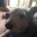 Bruce Reese - Facebook