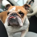 Bruce Rendell - @brucerendell - Instagram