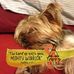 Bruce Rexroad - Facebook