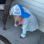 Bruce Rhoads - @bruce.rhoads.52 - Instagram
