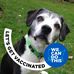 Bruce Rhoads - Facebook