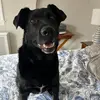 brucerhoads276 - @brucerhoads276 - TikTok