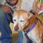 Bruce Richard - @bruce.richard.988 - Instagram