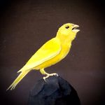 Bruce Richards - @brichardsstudio - Instagram