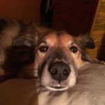 Bruce Richards - @bruce_richards2 - Instagram