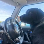 bruce - @bruceringersss - Instagram