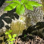 Bruce Fahringer - @fahringerbruce - Instagram