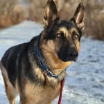 Bruce Robbins - @bruce.robbins.90 - Instagram