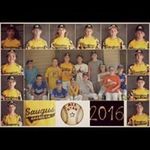 Bruce Robbins - @8t0bruce - Instagram