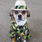 Bruce Robbins - @teews_bruce1 - Instagram