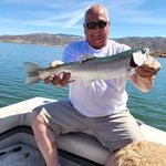Bruce Robbins - @bruce.robbins.5209 - Instagram