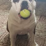 Bruce Rollins - @ber_squared - Instagram