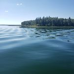 Bruce Romanow - @romanowbruce - Instagram