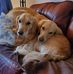 Bruce Rubin - Facebook