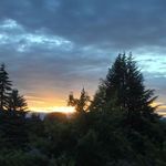 Bruce Rubin - @brucerubin74 - Instagram