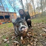 Bruce - @bruce_runyon - Instagram