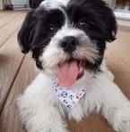 Bruce Rutherford - Facebook
