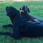Bruce Rutherford - @bsrutherford - Instagram