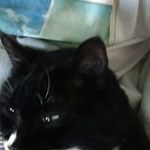 Bruce Salisbury - @bruce.salisbury - Instagram