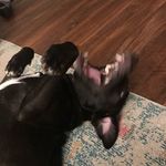 Bruce Sands - @bruce_n0t_wayne - Instagram