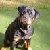 Bruce Sands - Facebook
