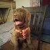 Bruce Sankey - Facebook