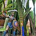 Bruce Santos - Facebook