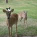 Bruce Suter - Facebook