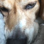 Bruce - @bruce_searle - Instagram