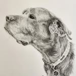 ʙʀᴜᴄᴇ sᴇᴇ - @artbybrucesee - Instagram