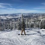Bruce seidel - @bseidel98 - Instagram