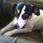 Bruce Self - @self.bruce - Instagram