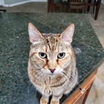 Bruce Self - @bself351 - Instagram