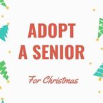 Adopt a Senior Grey Bruce - @adoptaseniorgreybruce - Instagram