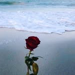 archange - @seniore_bruce - Instagram