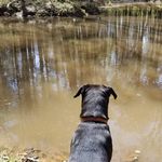 Bruce Senter - @brucesenter - Instagram