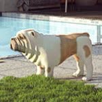 Bruce Shaver - @bruceshaver - Instagram