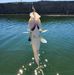 Bruce Sheldon - Facebook