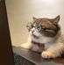Sheldon Bruce - Facebook