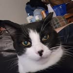Bruce Shepard - @shepard_bruce - Instagram