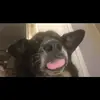 brucetheshepard - @brucetheshepard - TikTok