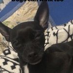 Bruce Shepherd - @bruce_shepherd__ - Instagram
