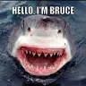 Bruce Shepherd - @shepo0544 - TikTok
