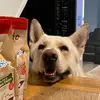 Bruce Shepherd - @bruce.shepherd5 - TikTok